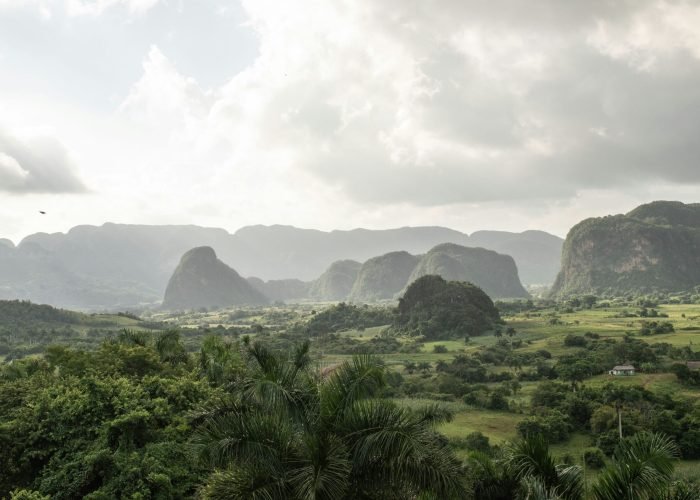 carlos-torres-DnLXkeaJDFw-unsplash