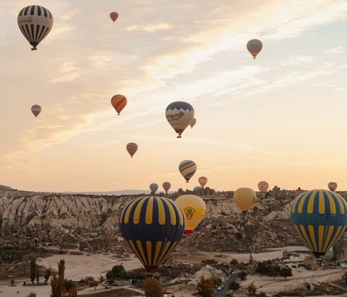 igor-sporynin-j94ucbTZjmI-unsplash igor-sporynin-j94ucbTZjmI-unsplash