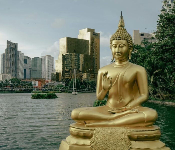 matt-dany-9UgWdunl__U-unsplash(1)