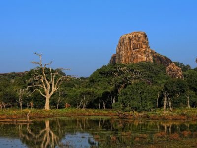 natasha-yurova-HK8-s14KYWs-unsplash