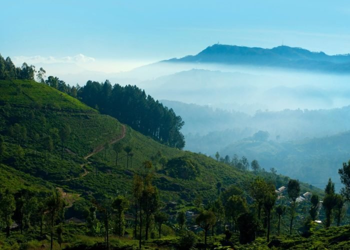 pexels-freestockpro-319879