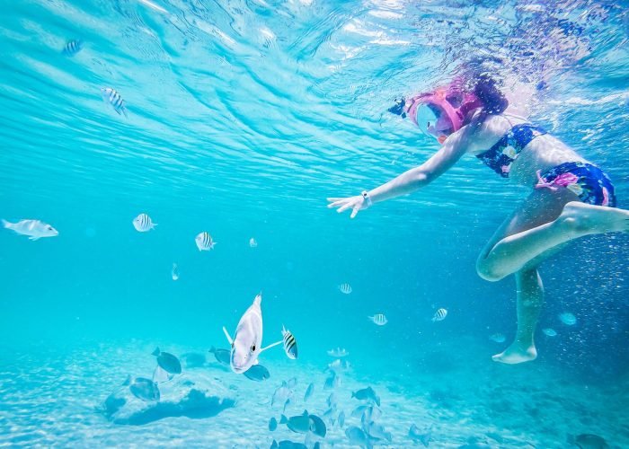 ruben-ortega-146j7Mk3wQQ-unsplash