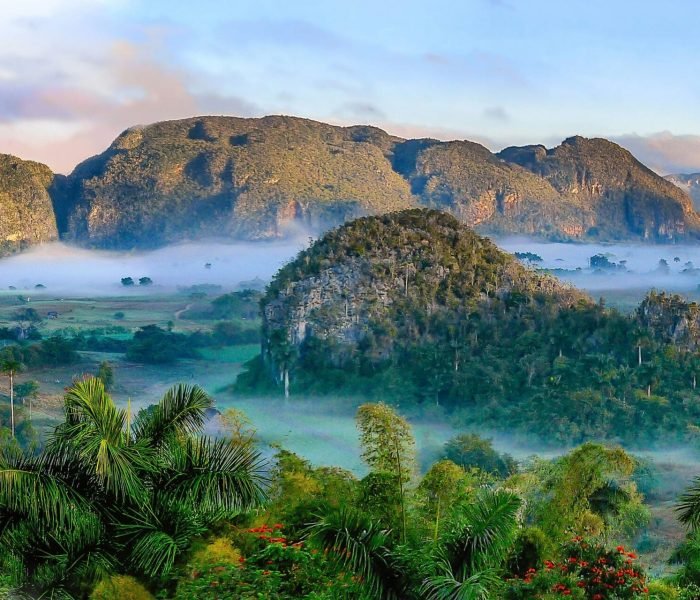 simon-berger-aZjw7xI3QAA-unsplash