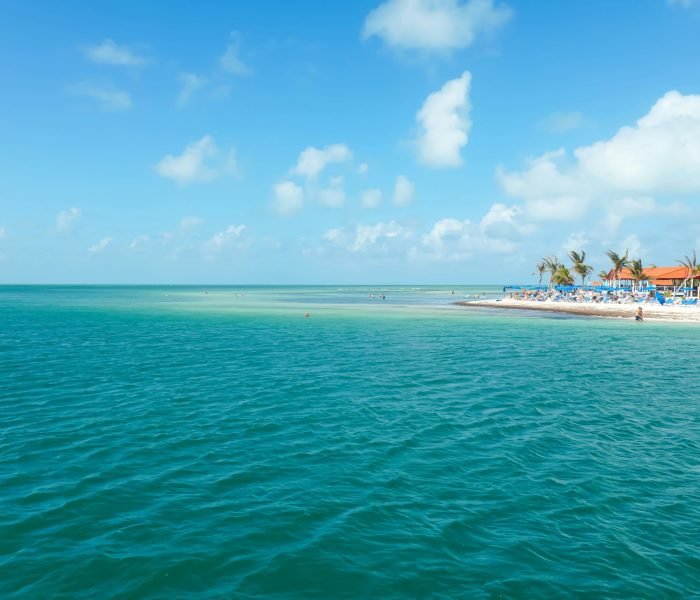 tiago-claro-16540aZJY-Y-unsplash(1)