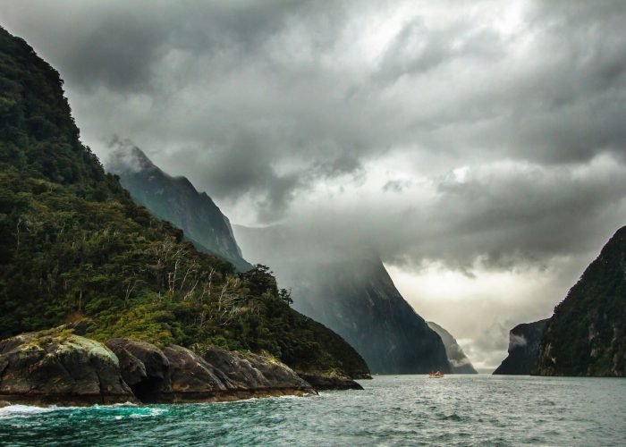adam-edgerton-oU9Ig25YS08-unsplash