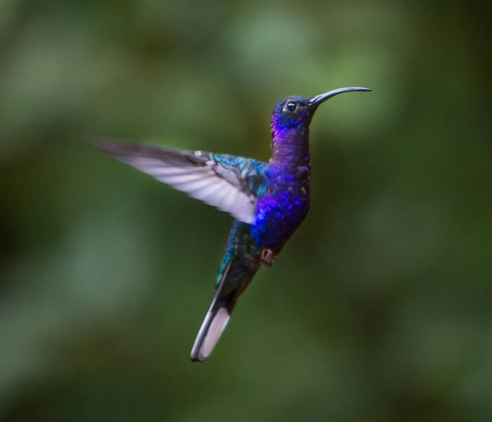 james-ting-RAu54pFo-2c-unsplash(1)