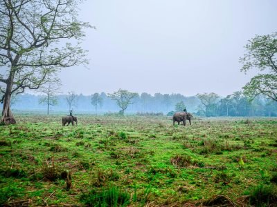 kiran-awale-5gsopNa4CF0-unsplash(1)