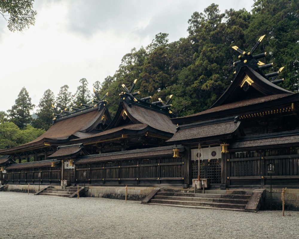 michael-bai-7A2K5XGt_3Q-unsplash