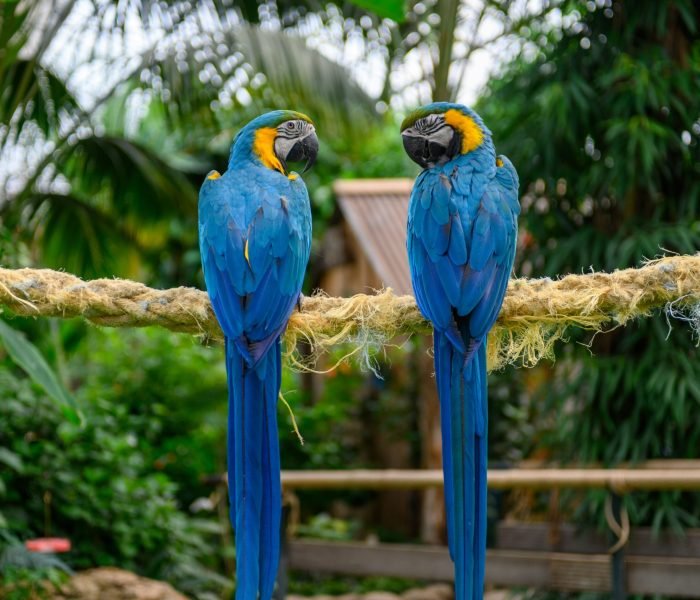 michel-bosma-LSGPasPZy8E-unsplash