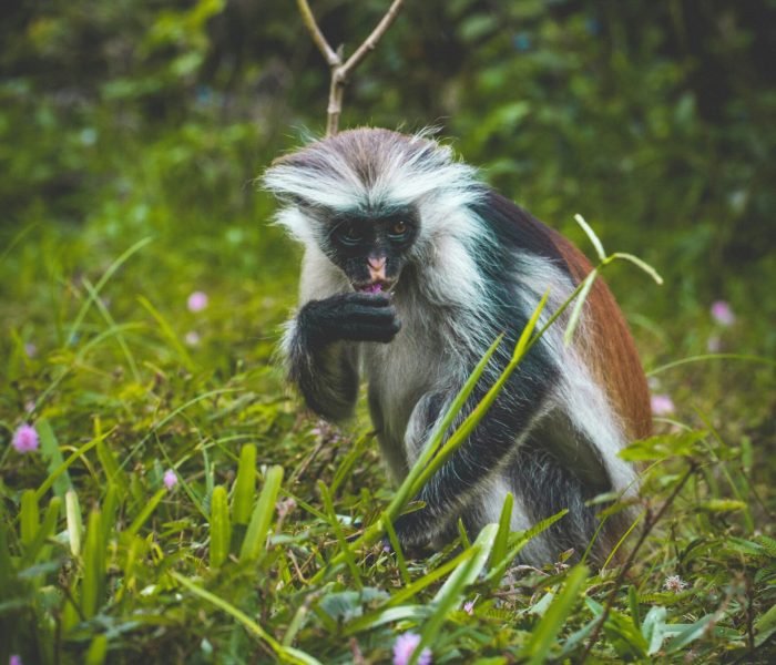 patrick-mueller-ssE6ACHvybo-unsplash