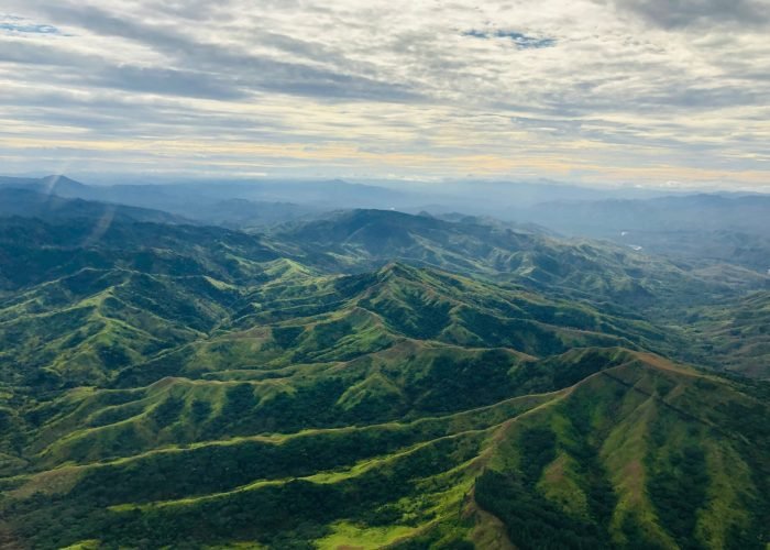 tanya-guillory-ntyNGuggurI-unsplash
