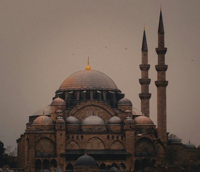 tolga-ahmetler-65R1UjSK__I-unsplash(1)