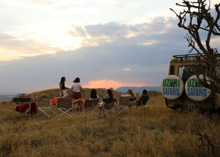 uzuri-safaris-tanzania-mJWSScxNEss-unsplash(2)